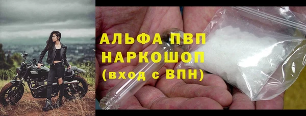 хмурый Арсеньев