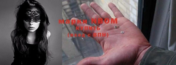 хмурый Арсеньев