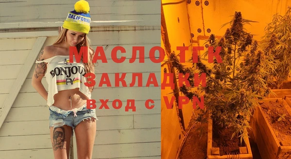 хмурый Арсеньев