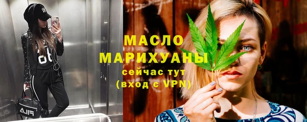 хмурый Арсеньев