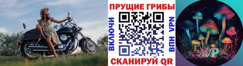 Галлюциногенные грибы Psilocybine cubensis  Купить  Дальнегорск 